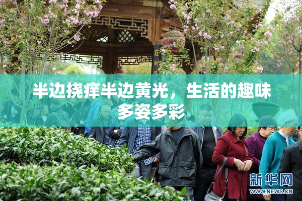 半边挠痒半边黄光，生活的趣味多姿多彩
