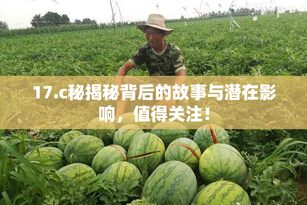 17.c秘揭秘背后的故事与潜在影响，值得关注！