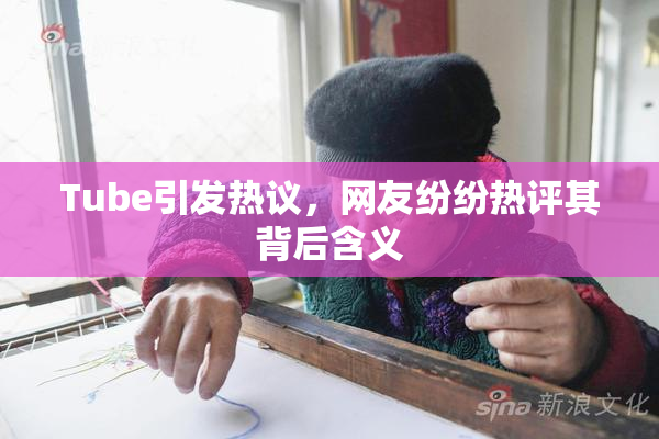 Tube引发热议，网友纷纷热评其背后含义