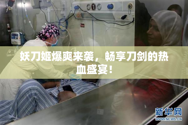 妖刀姬爆爽来袭，畅享刀剑的热血盛宴！