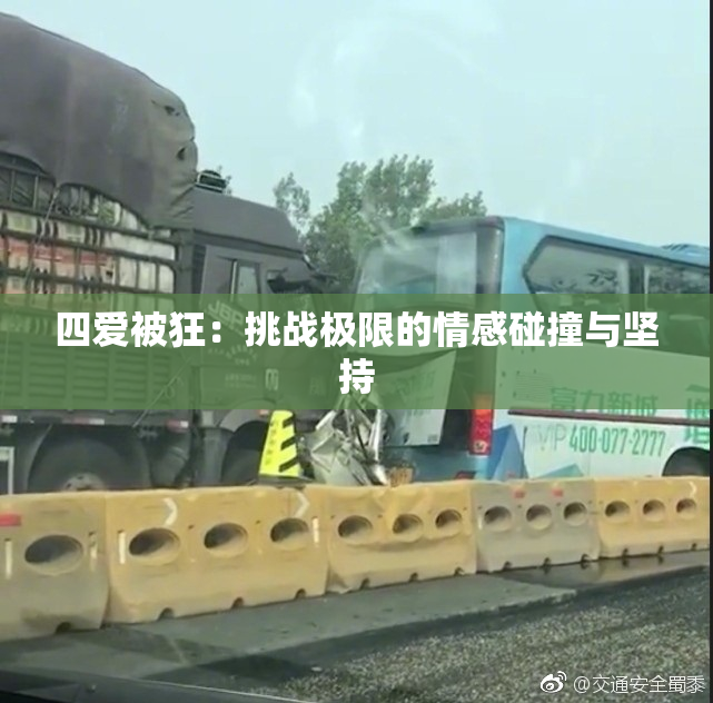 四爱被狂：挑战极限的情感碰撞与坚持