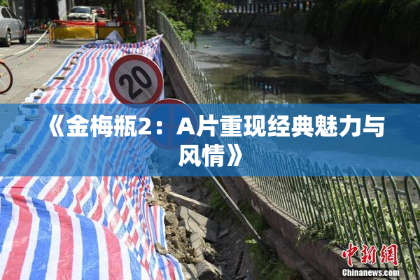 《金梅瓶2：A片重现经典魅力与风情》