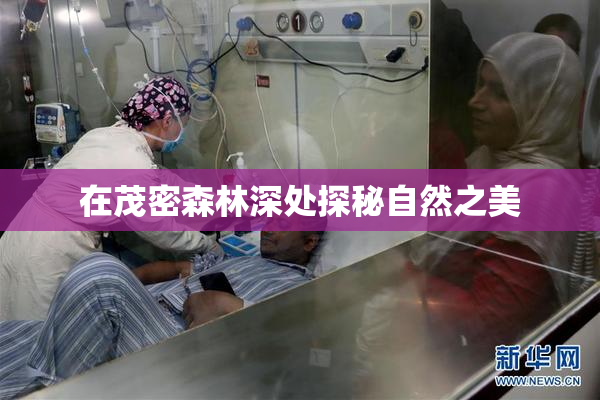 在茂密森林深处探秘自然之美