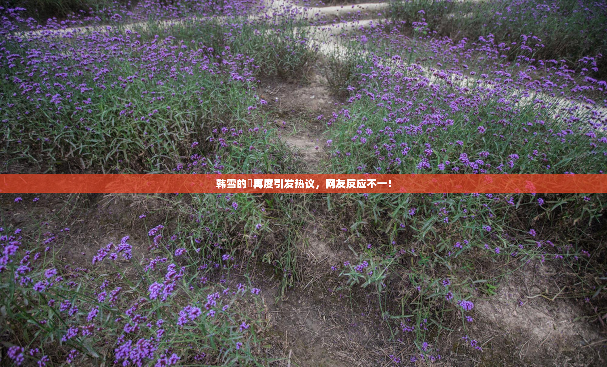 韩雪的婬再度引发热议，网友反应不一！