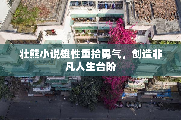 壮熊小说雄性重拾勇气，创造非凡人生台阶