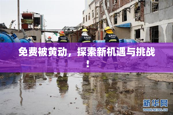 免费被黄动，探索新机遇与挑战！