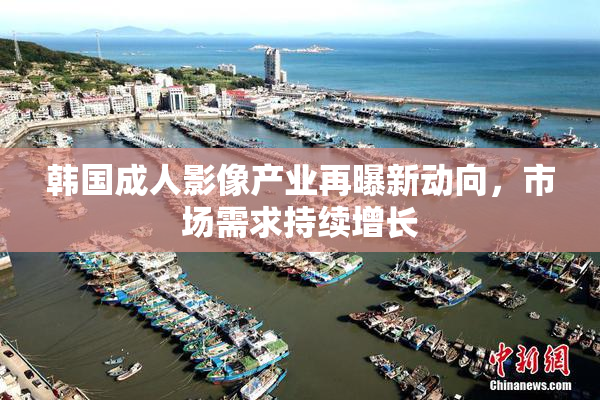 韩国成人影像产业再曝新动向，市场需求持续增长