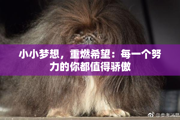 小小梦想，重燃希望：每一个努力的你都值得骄傲