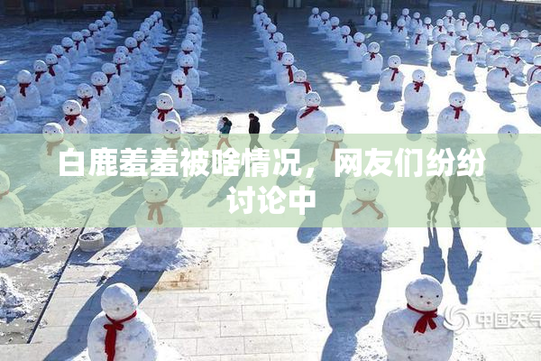 白鹿羞羞被啥情况，网友们纷纷讨论中