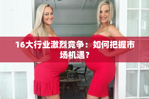16大行业激烈竞争：如何把握市场机遇？
