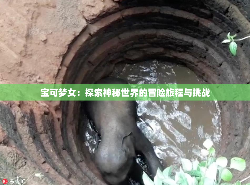 宝可梦女：探索神秘世界的冒险旅程与挑战