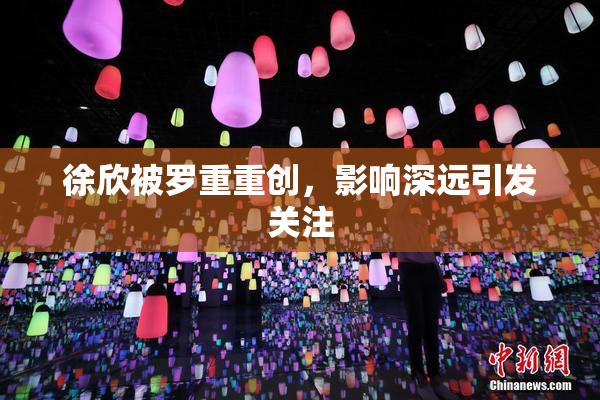 徐欣被罗重重创，影响深远引发关注