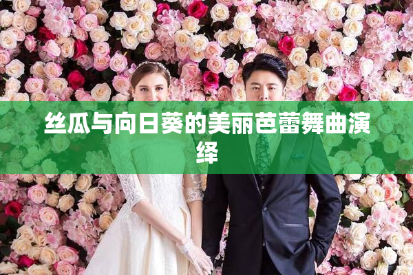 丝瓜与向日葵的美丽芭蕾舞曲演绎