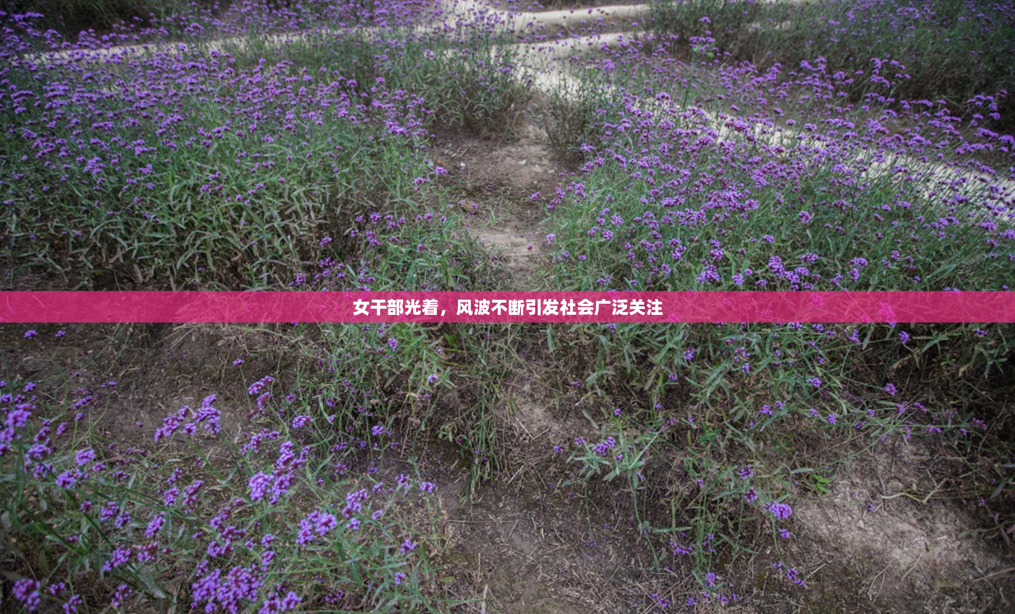 女干部光着，风波不断引发社会广泛关注