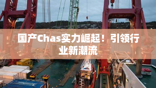 国产Chas实力崛起！引领行业新潮流