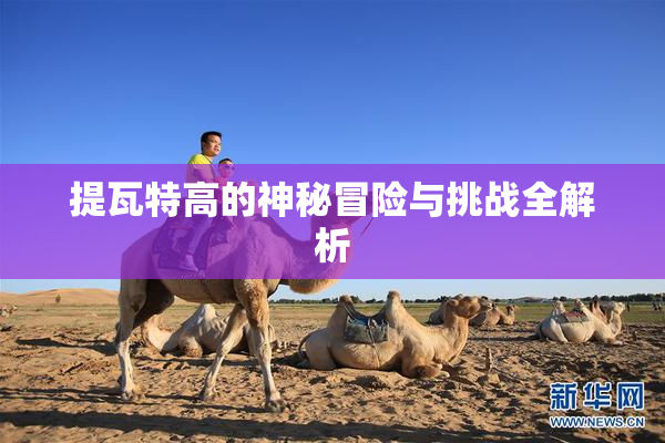 提瓦特高的神秘冒险与挑战全解析