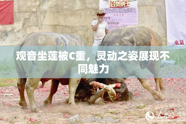 观音坐莲被C重，灵动之姿展现不同魅力