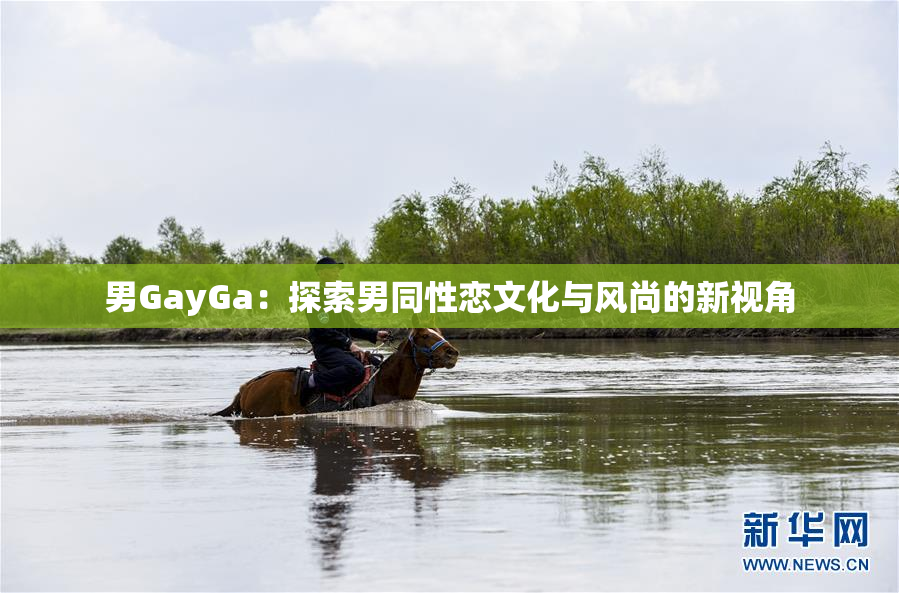 男GayGa：探索男同性恋文化与风尚的新视角