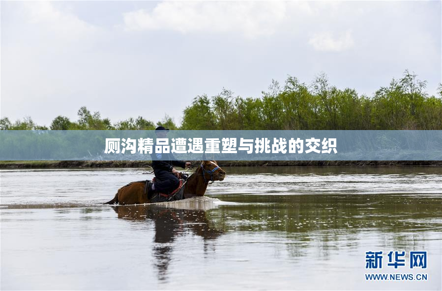 厕沟精品遭遇重塑与挑战的交织