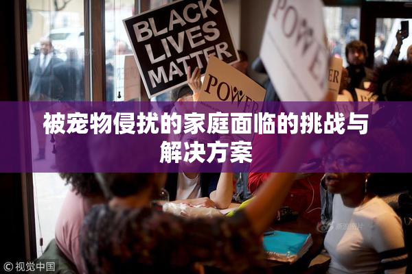 被宠物侵扰的家庭面临的挑战与解决方案