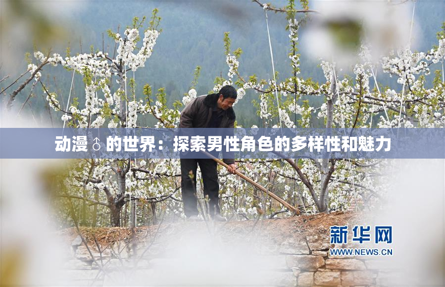 动漫♂的世界：探索男性角色的多样性和魅力
