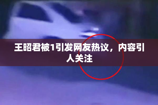 王昭君被1引发网友热议，内容引人关注