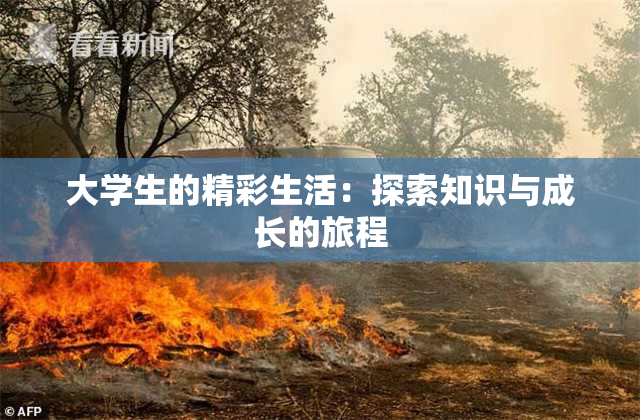 大学生的精彩生活：探索知识与成长的旅程