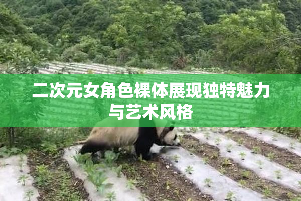 二次元女角色裸体展现独特魅力与艺术风格