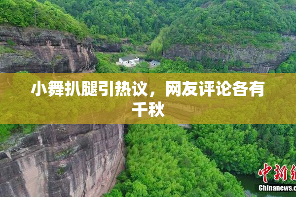 小舞扒腿引热议，网友评论各有千秋