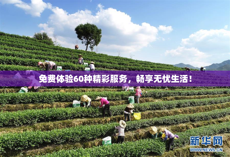 免费体验60种精彩服务，畅享无忧生活！