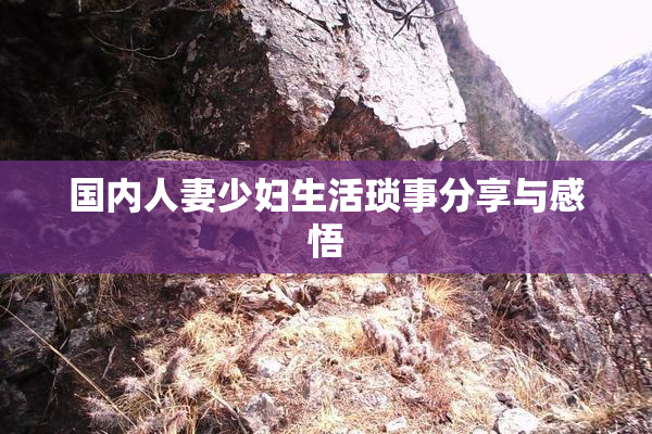 国内人妻少妇生活琐事分享与感悟