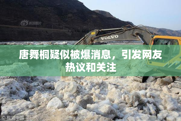 唐舞桐疑似被爆消息，引发网友热议和关注