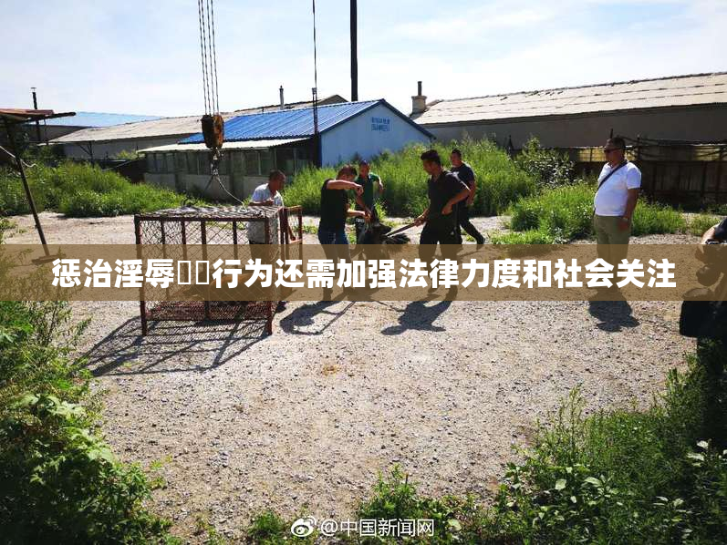 惩治淫辱妺妺行为还需加强法律力度和社会关注