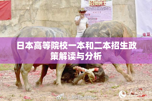 日本高等院校一本和二本招生政策解读与分析