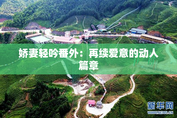 娇妻轻吟番外：再续爱意的动人篇章