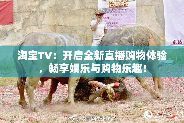 淘宝TV：开启全新直播购物体验，畅享娱乐与购物乐趣！
