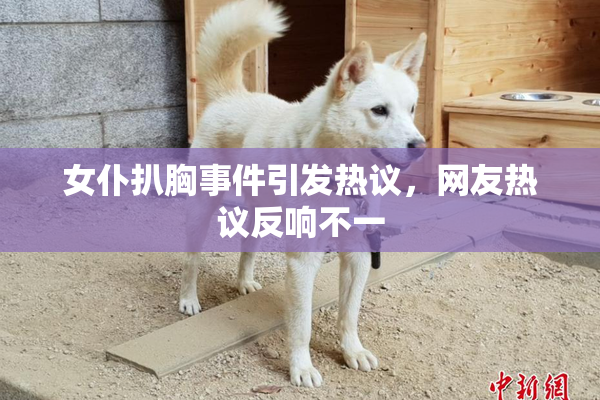 女仆扒胸事件引发热议，网友热议反响不一