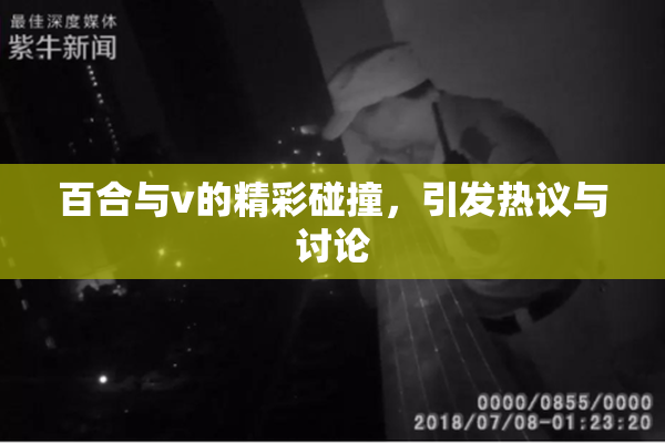 百合与v的精彩碰撞，引发热议与讨论