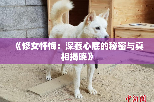 《修女忏悔：深藏心底的秘密与真相揭晓》