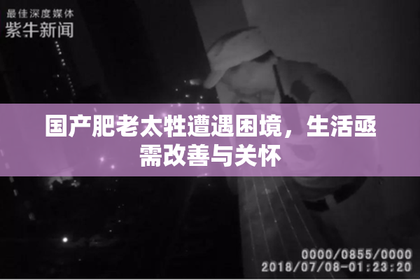国产肥老太牲遭遇困境，生活亟需改善与关怀