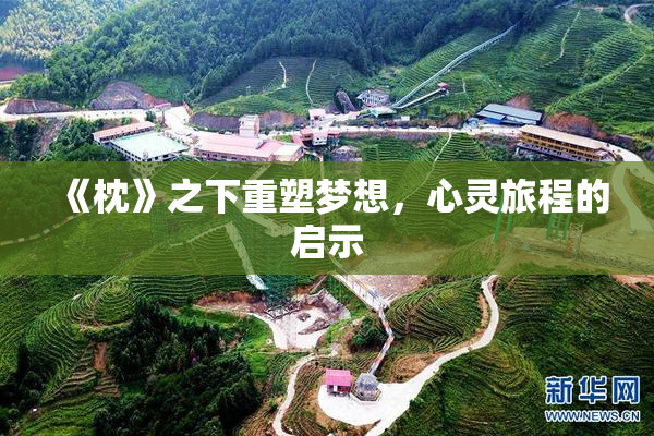 《枕》之下重塑梦想，心灵旅程的启示