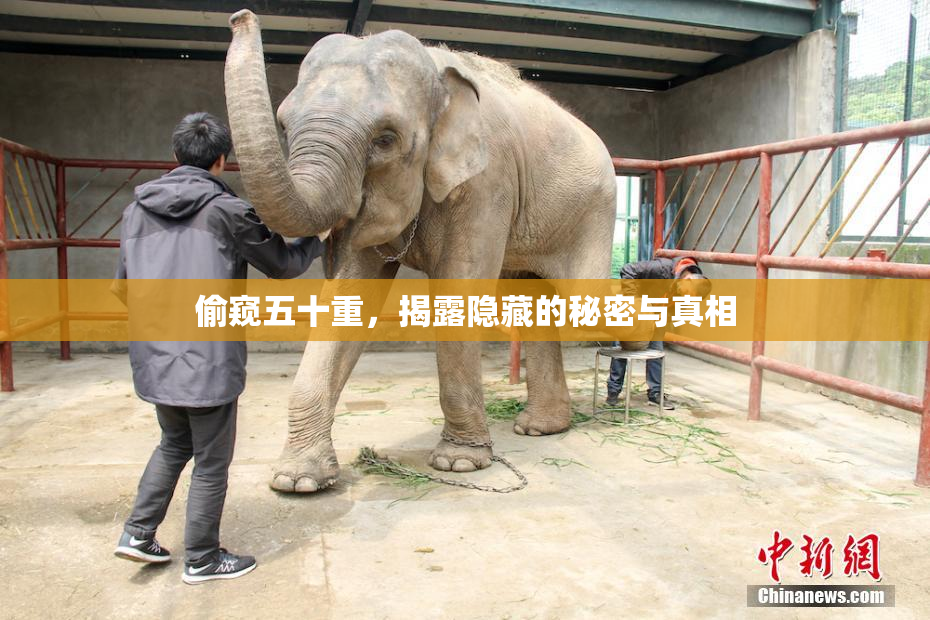 偷窥五十重，揭露隐藏的秘密与真相