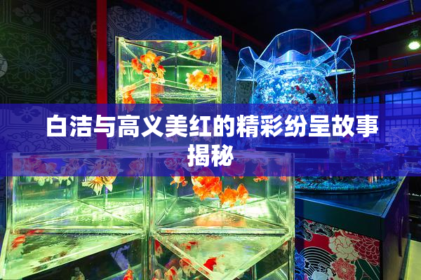 白洁与高义美红的精彩纷呈故事揭秘