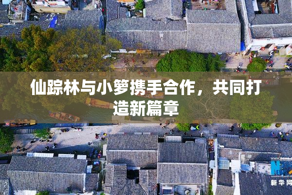 仙踪林与小箩携手合作，共同打造新篇章