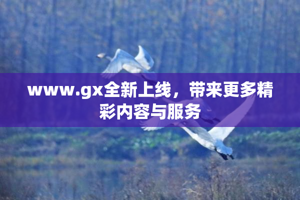 www.gx全新上线，带来更多精彩内容与服务