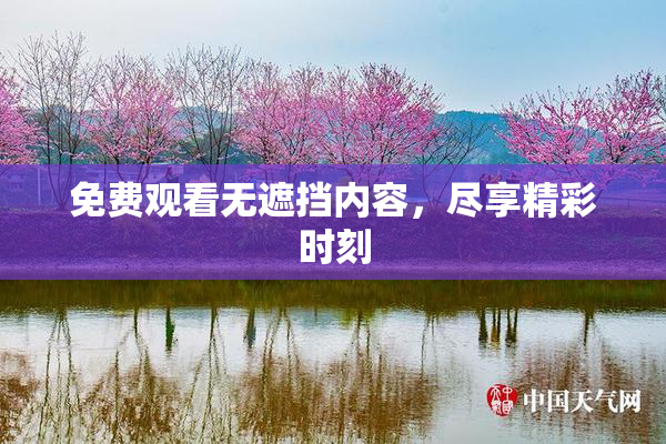 免费观看无遮挡内容，尽享精彩时刻