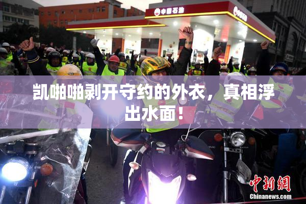 凯啪啪剥开守约的外衣，真相浮出水面！