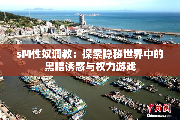 sM性奴调教：探索隐秘世界中的黑暗诱惑与权力游戏