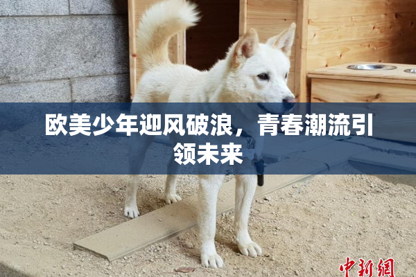 欧美少年迎风破浪，青春潮流引领未来