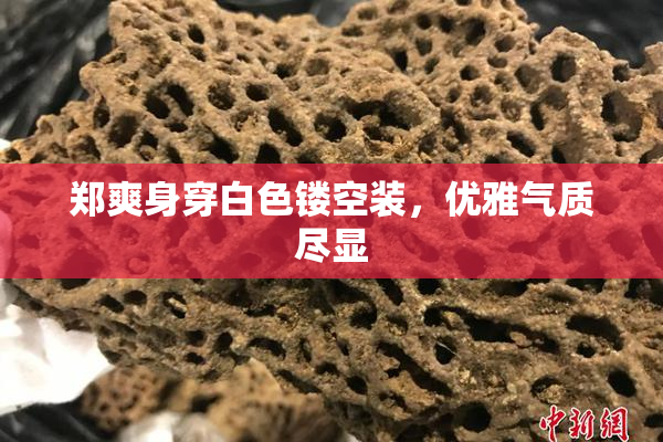 郑爽身穿白色镂空装，优雅气质尽显